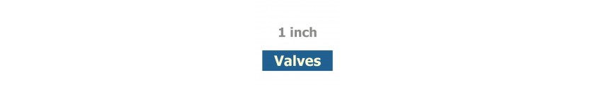 1 inch Valves